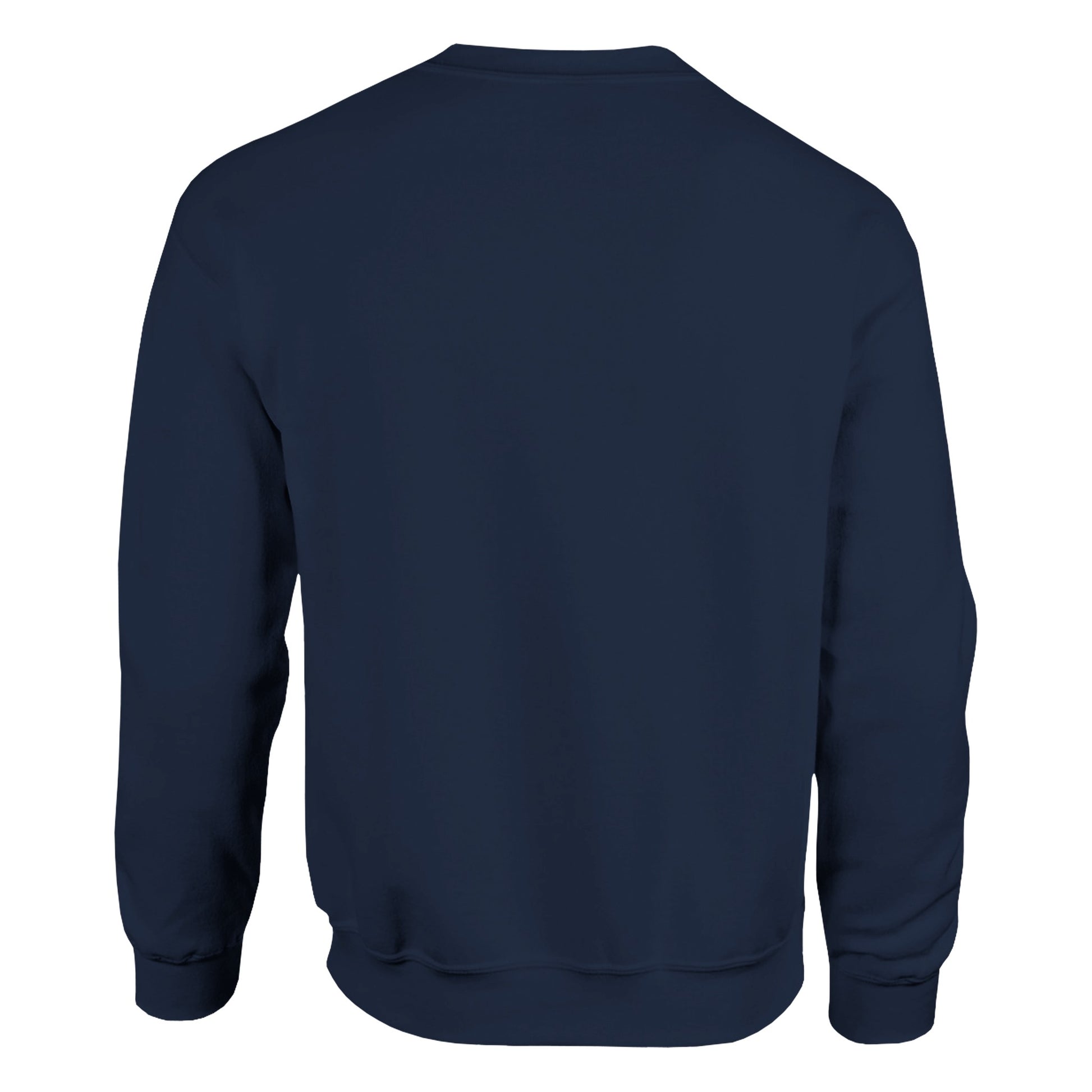 sweatshirt perseides bleue marine de dos 